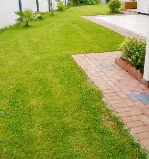 WP_20140926_033_mr1606866997409_resized_20201202_010743984